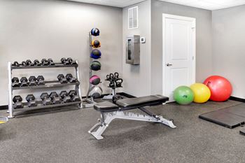 Free weights in gym