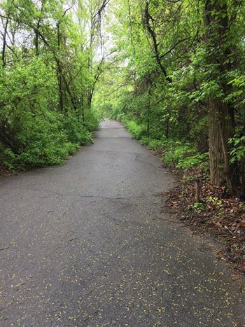 Walking trails