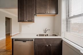 Chicago apartment for rent - a kitchen with a sink and a dishwasher and a window