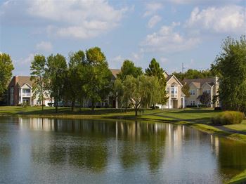 A serene lake view