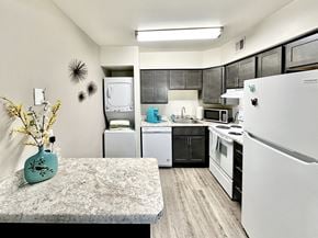 Virginia Beach apartment for rent - Modern kitchen