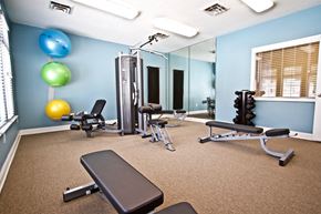 Chesapeake apartment for rent - a gym with exercise equipment and mirrors in a room with blue walls and a window