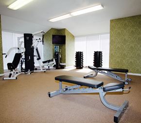 Virginia Beach apartment for rent - a gym with weights and exercise equipment in a room with a window