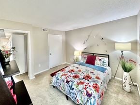 Virginia Beach apartment for rent - Roomy second bedroom
