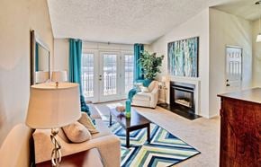 Virginia Beach apartment for rent - a living room with a fireplace and a couch