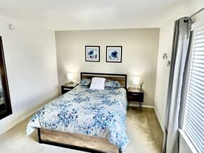 Virginia Beach apartment for rent - Large, bright bedroom