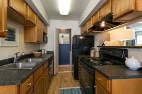 Littleton apartment for rent - a kitchen with a stove and a sink and a refrigerator