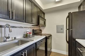 Denver apartment for rent - A kitchen with black cabinets and a stainless steel sink.
