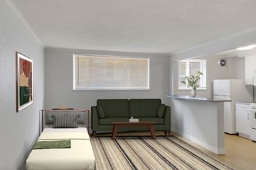 Denver apartment for rent - A living room with a green couch and a striped rug.
