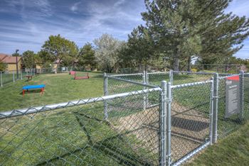 On-site dog park