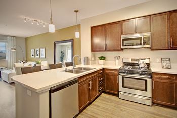 Stainless steel appliances including microwaves