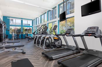 State-of-the-art gym and spin studio