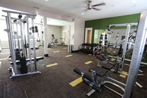 Gladstone apartment for rent - a gym with weights and other equipment in a room