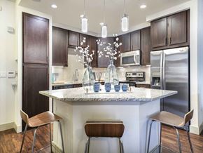 Frisco apartment for rent - a kitchen with a marble counter top and stainless steel appliances
