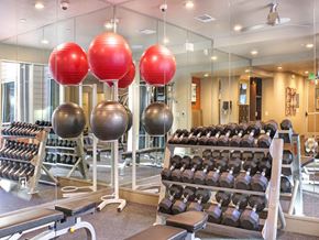 Frisco apartment for rent - a gym with rows of dumbbells and mirrors