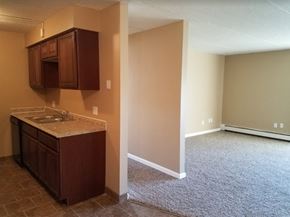 Anoka apartment for rent - a empty room with a sink and a kitchen
