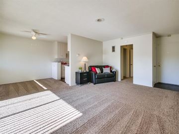 San Diego apartment for rent - A living room with a black couch and a striped rug.