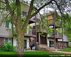 Shoreview apartment for rent - an apartment building with a tree in the yard