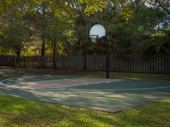 Basketball court