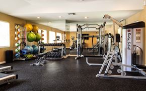 Gainesville apartment for rent - a gym with weights and cardio equipment on the floor