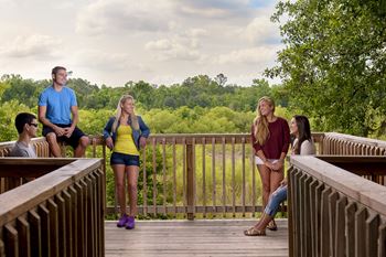 Observation deck
