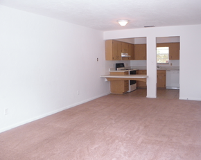 Gainesville townhouse for rent - living room