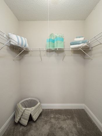 Large bedroom closets