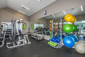 Lakeland apartment for rent - a gym with weights and other exercise equipment and mirrors