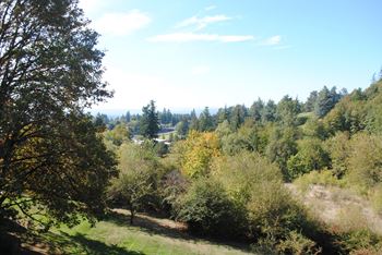 Outdoor view