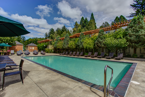Portland apartment for rent - Swim at Commons at Sylvan Highlands Apartments, Portland, OR