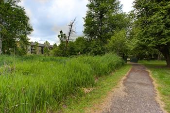 Grass road