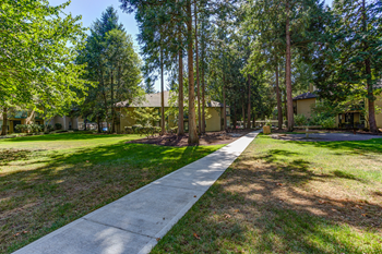 Lawn