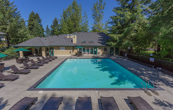 Pool side view