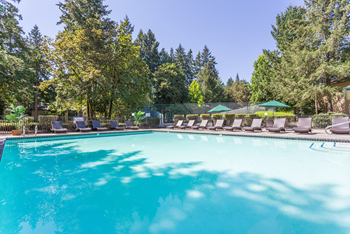 Pool aerial view