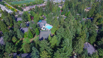 Bird view
