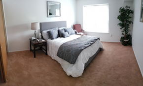 Ypsilanti apartment for rent - a bedroom with a large bed and a window