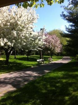 Detroit apartment for rent - Beautiful Landscaping!