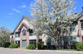 Detroit apartment for rent - an apartment building with a flowering tree in front of it