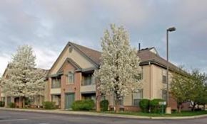 Detroit apartment for rent - two flowering trees in front of an apartment building