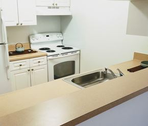 Detroit apartment for rent - a kitchen with a sink and a stove and a refrigerator