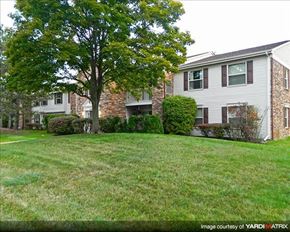 Northville apartment for rent - A house with a tree in front of it.