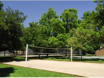 Basketball court
