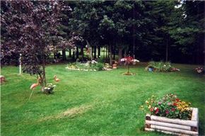 Bigfork apartment for rent - a backyard with a garden and a bench