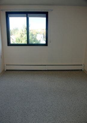 Nashwauk apartment for rent - a room with a window and a carpeted floor