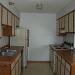Circle Pines apartment for rent - a kitchen with a refrigerator and a sink