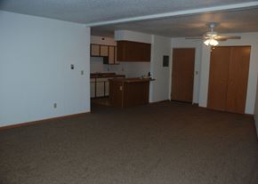 Circle Pines apartment for rent - an empty living room and kitchen with a ceiling fan