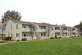 Brentwood apartment for rent - Row of buildings and grass at PARKSIDE BRENTWOOD, California, 94513