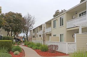 Brentwood apartment for rent - Exterior buildings view with sidewalk at PARKSIDE BRENTWOOD, Brentwood, CA 94513