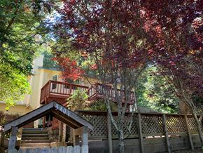 Belmont house for rent - 3401 E. Laurel Creek