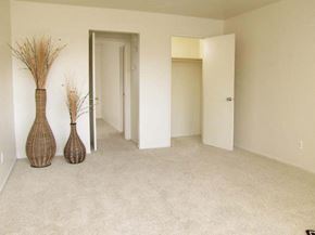 Modesto apartment for rent - Living room with closet at Windsor Apts